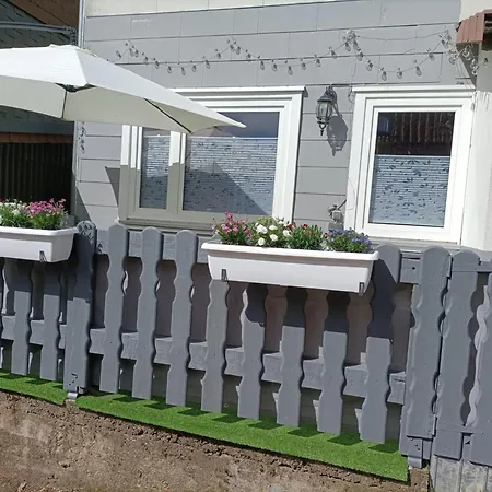 Harz-pfote Familien- Und Hundefreundliche Lejlighed *